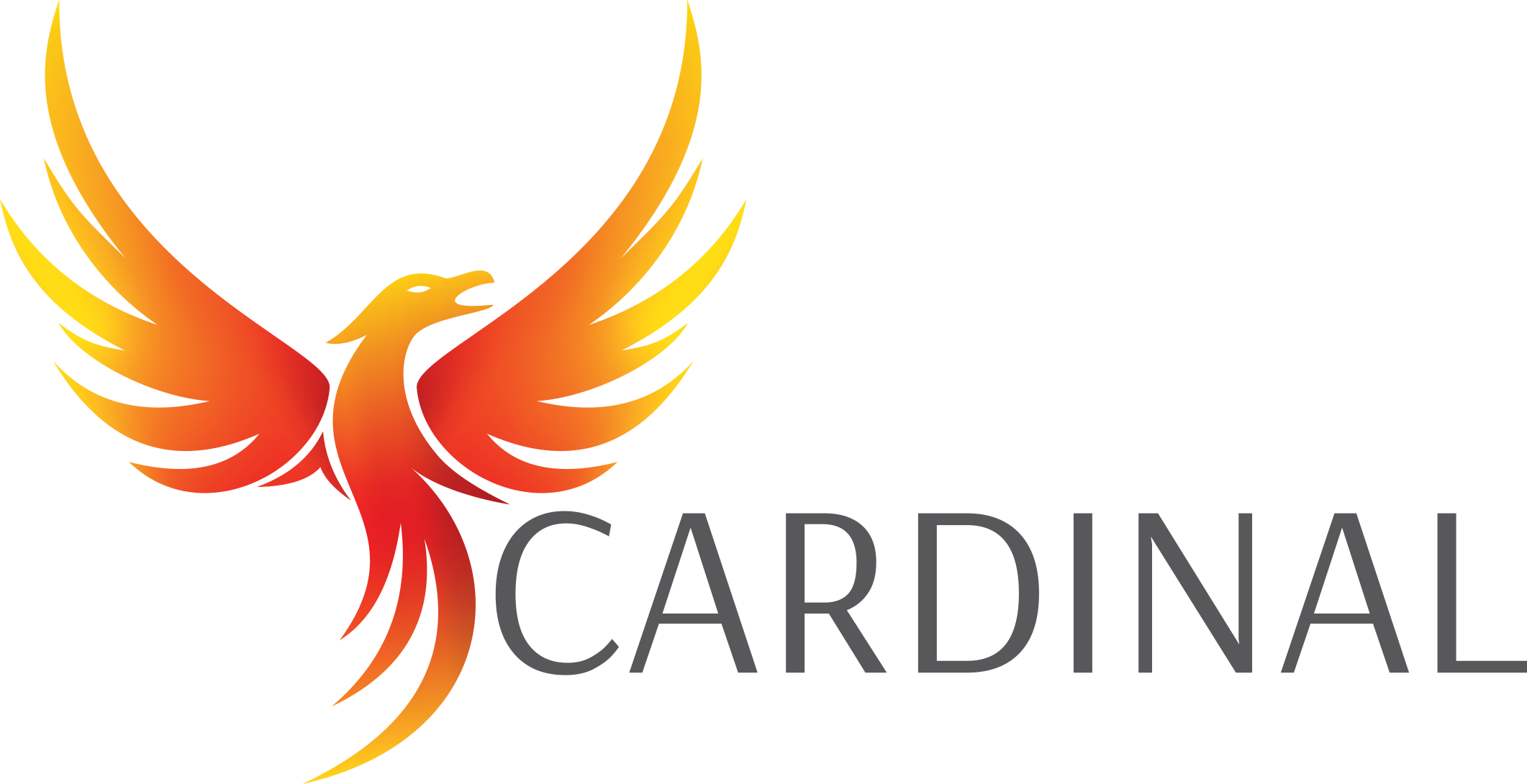 Cardinal DMC - Southern & East Africa logo